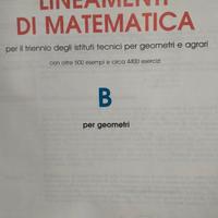 Volume: Lineamenti di Matematica"