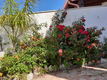 Sulmare villetta clima giardino/p.auto