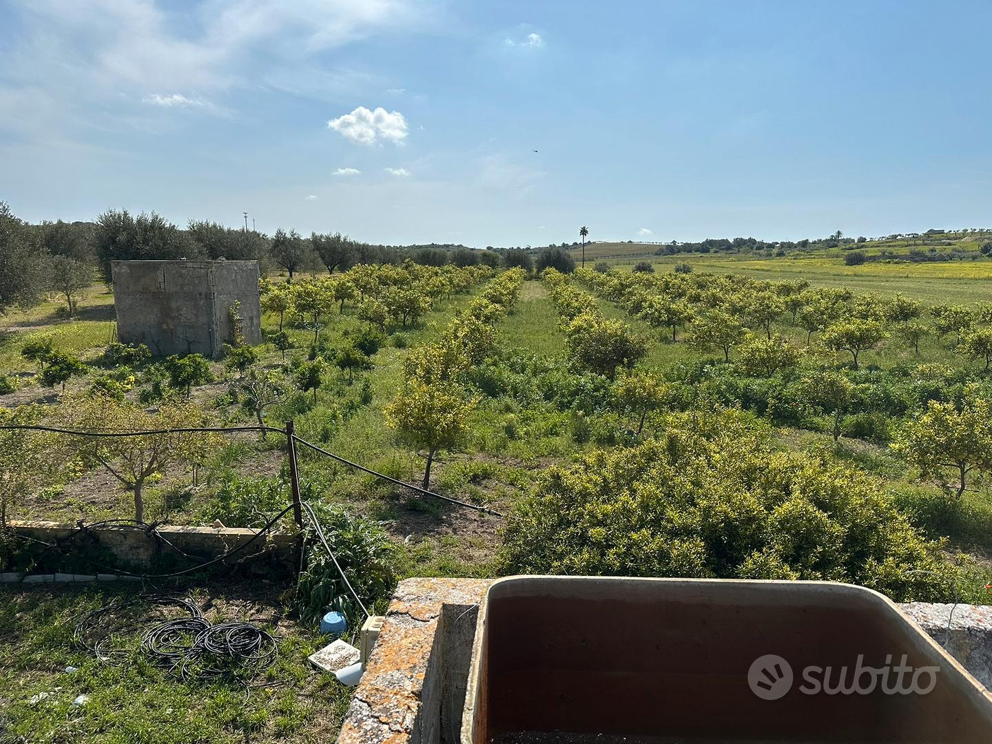 Terreno di 2 ettari con casa da 60mq - Vista 2