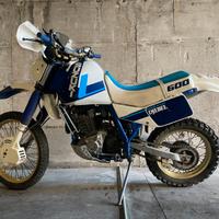 Suzuki dr 600 Djebel