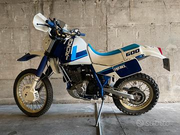 Suzuki dr 600 Djebel
