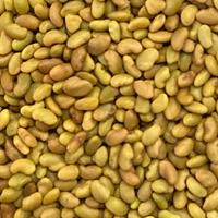 Semi Erba Medica La Bella Campagnola busta da 1 KG