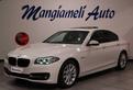 BMW Serie 5 Berlina 520d Luxury 190cv