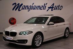 BMW Serie 5 Berlina 520d Luxury 190cv