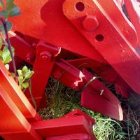 Vangatrice Delle Vigne