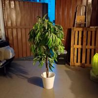 Pianta artificiale finta