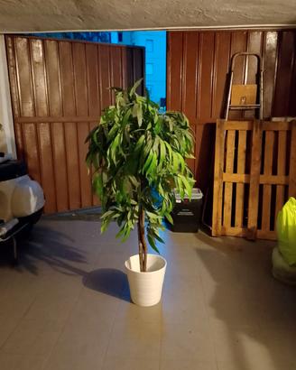Pianta artificiale finta