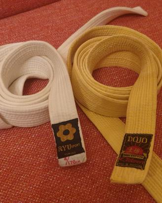 Cinture Aikido