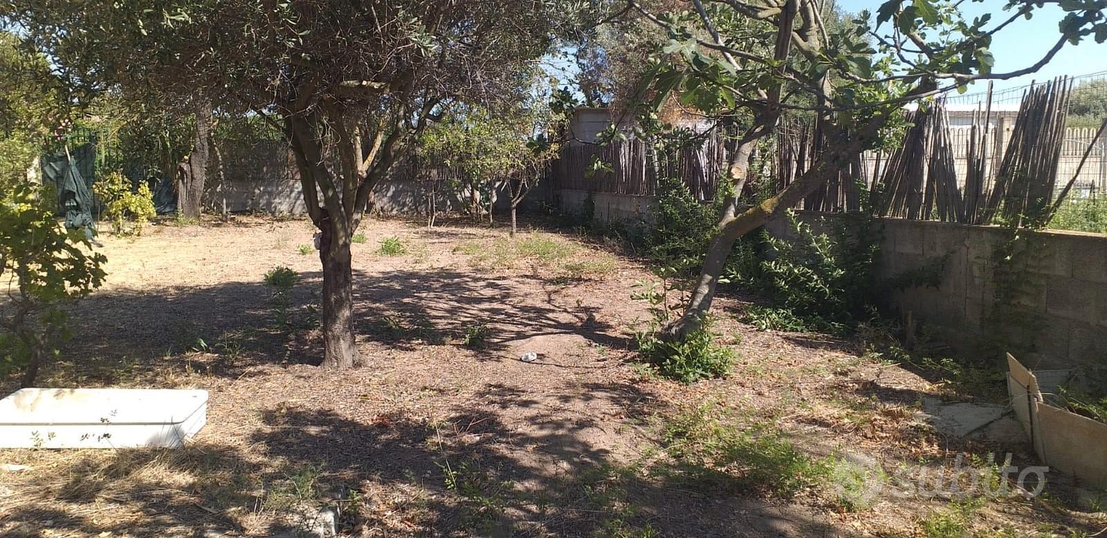Zona panoramica - Vista 2