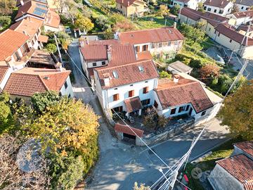 Log: casa indipendente in stile carsico