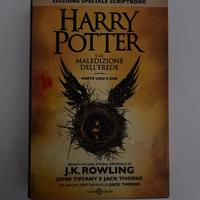 Libro Harry Potter