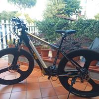 bicicletta eletricca mtb 29