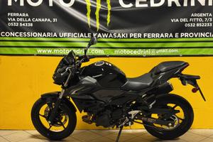 Kawasaki Z 500 (2026)
