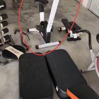 apparecchi da ginnastica 