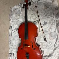 Violino