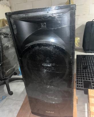 Casse passive 1000 w