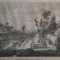 CINA - Stampe Antiche originali d'epoca cm. 30x40