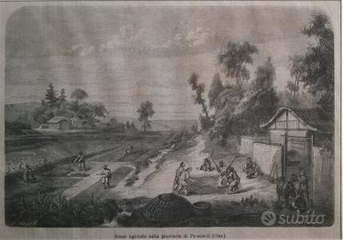 CINA - Stampe Antiche originali d'epoca cm. 30x40