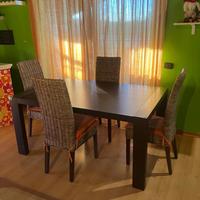 Tavolo cm 160x100 allungabile
