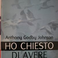 Ho chiesto di avere le ali 
