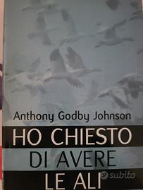 Ho chiesto di avere le ali 