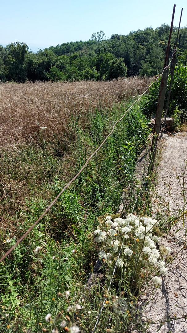 Terreno agricolo - Vista 4