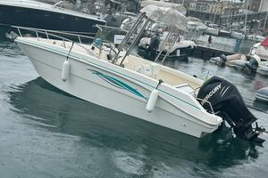 Fiart Oasi 22 - 150 cv