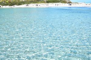 Appartamenti vicino a Costa Rei e Villasimius