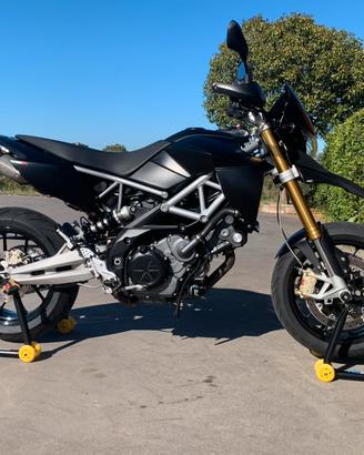 Dorsoduro 750