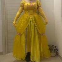 Vestito carnevale Belle ( La Bella e la Bestia)