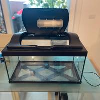 Acquario 60 litri