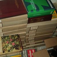 enciclopedia treccani