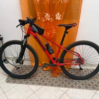 Montabike 29 lombardo