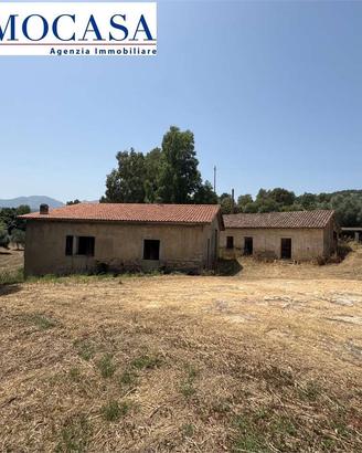 Ampio terreno con diversi ricoveri attrezzi