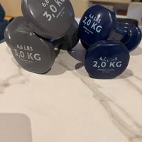 Manubri Decathlon 2kg e 3Kg