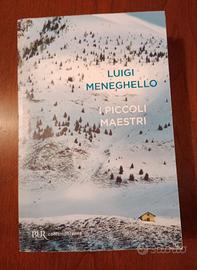 libro "I piccoli maestri"