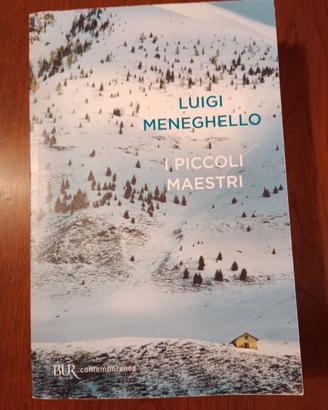 libro "I piccoli maestri"