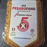 Gagliardetto A.S.D Pesaro C5 Calcio a 5