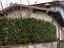 Immagine 14