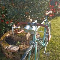 bici da corsa Bianchi