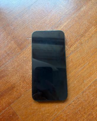 iPhone 13 Verde Scuro + Cavo e Cover