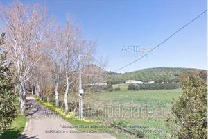 Terreno Agricolo Monastir [A4292124]