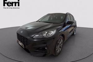 FORD Kuga 2.0 ecoblue ST-Line X 2wd 120cv auto