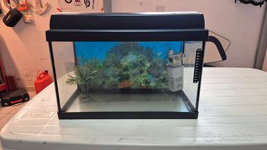 Acquario 60 Lt