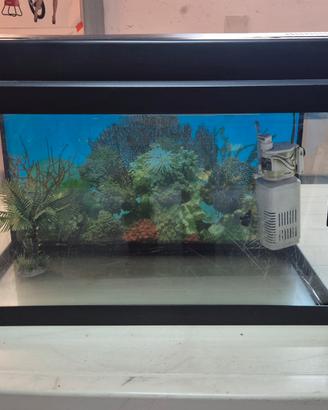 Acquario 60 Lt