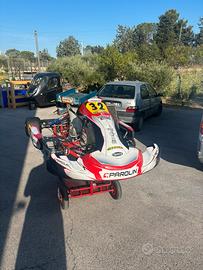 Parolin invader 2024
