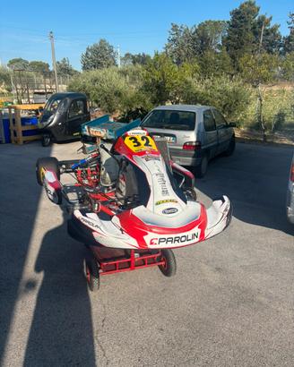 Parolin invader 2024