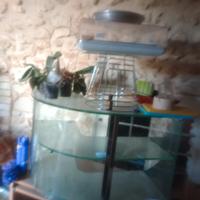 vetrina angolare per bar, tabacchi, oggettistica
