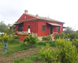 Villa immersa in un agrumeto