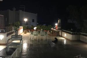 Militari trasfertisti
